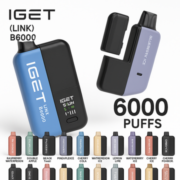 IGET LINK B6000